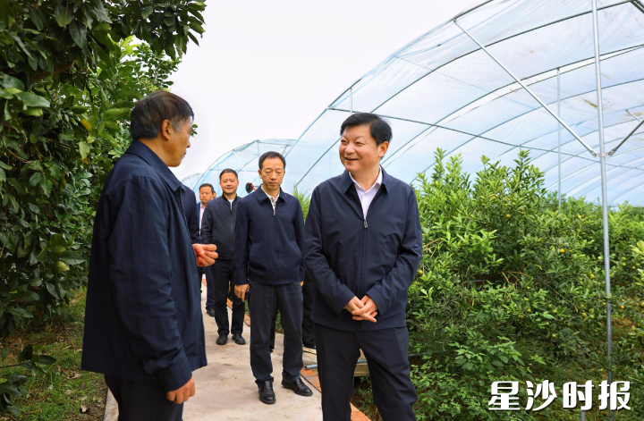 付旭明在金桔园农业提质项目现场,调研项目建设情况。 付旭明在金桔园农业提质项目现场,调研项目建设情况。