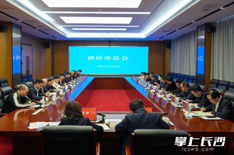 11月15日，省委常委、市委书记吴桂英在长沙县宣讲党的二十届四中全会精神，调研经济社会发展情况。