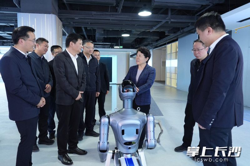 调研现场。均为长沙晚报全媒体记者 郭雨滴 摄