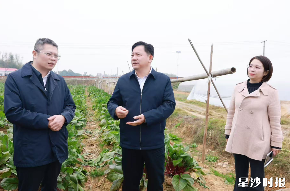 调研现场。董坤 摄