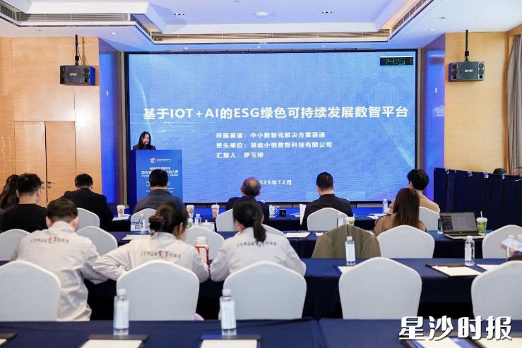 湖南小格数智科技有限公司项目获二等奖。