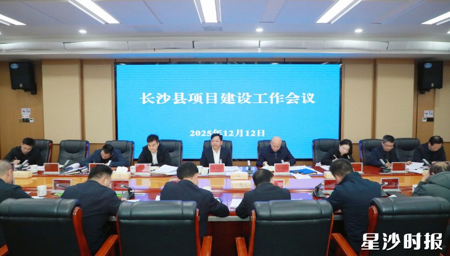 会议现场。陈张嘉 摄