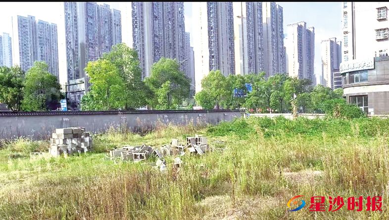　　湘龙街道某闲置地整改前。湘龙街道供图