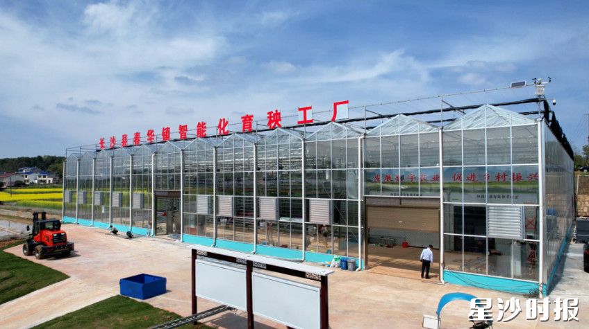 长沙县春华镇智能化育秧工厂。春华镇供图