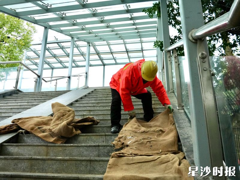 市政工人在人行天桥铺设麻袋防滑。