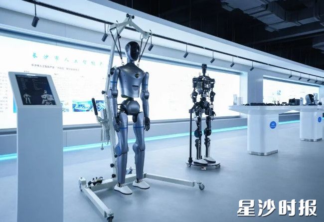 湖南具身智能创新中心展出的具身智能机器人。舒展 摄