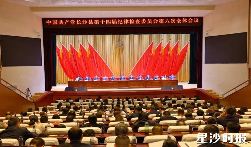 会议现场。均为曾诗怡 摄