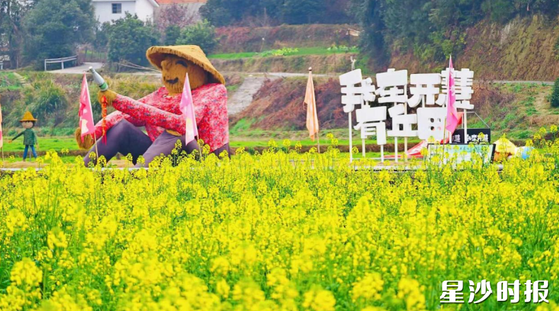 图为“我在开慧有丘田”打卡点。章帝 摄