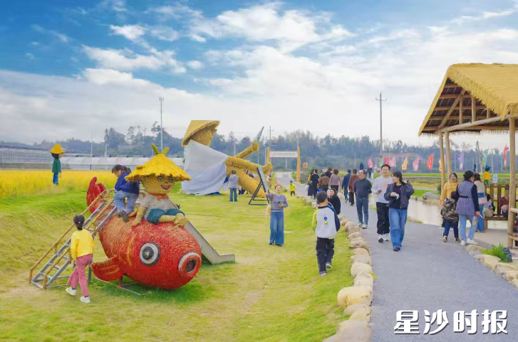 开慧镇政协委员活动组紧扣乡村振兴时代课题，深入调研、精准献策。图为“我在开慧有丘田”农田认领项目。张庆 摄