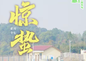 诗意繁花·二十四节气丨惊蛰：春雷响，万物长