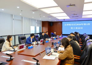 自贸临空区党工委会议召开