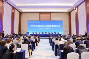 长沙自贸会展区召开2026年高质量发展大会