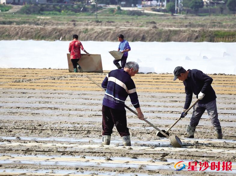 　　在果园镇杨泗庙社区高标准农田，农户们抢抓农时开展春耕备耕。杨源 摄
