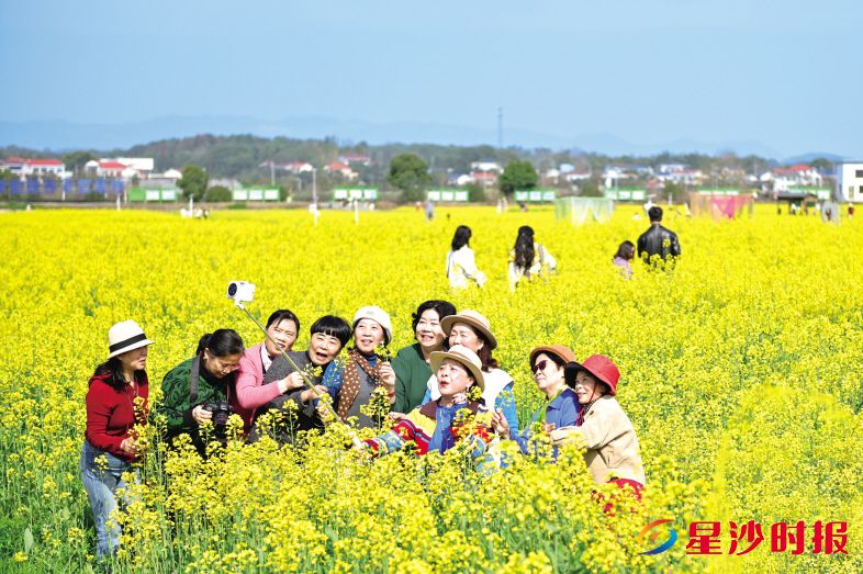 江背镇五福村、福临镇、路口镇等地高标准油菜花海绵延成片,成为长沙近郊春日赏花热门打卡地。 刘思源 摄