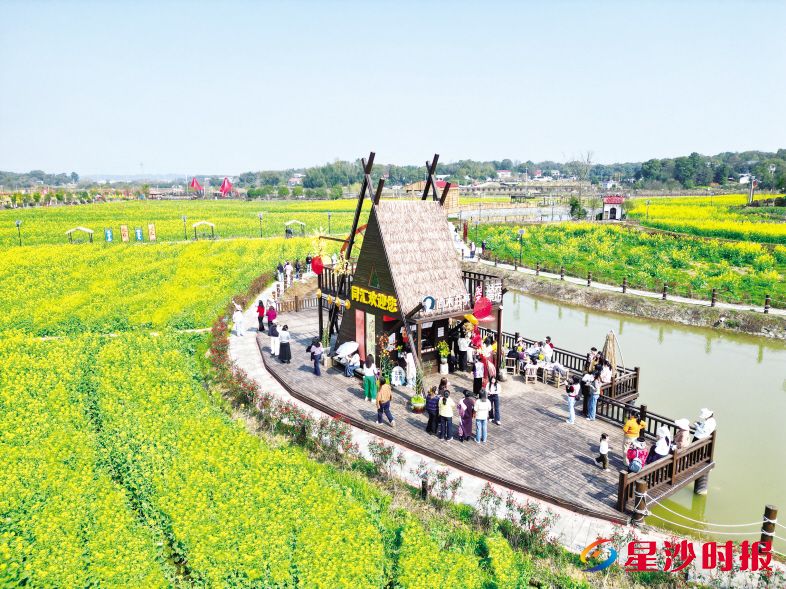 　　在同汇长龙生态欢乐园，金灿灿的油菜花海铺满田野，游客们或拍照打卡，或围坐品尝热气腾腾的火锅。　　林畅 摄
