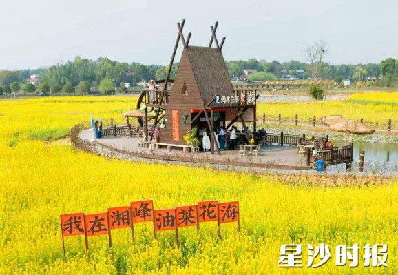 长龙街道同汇长龙生态欢乐园油菜花海。