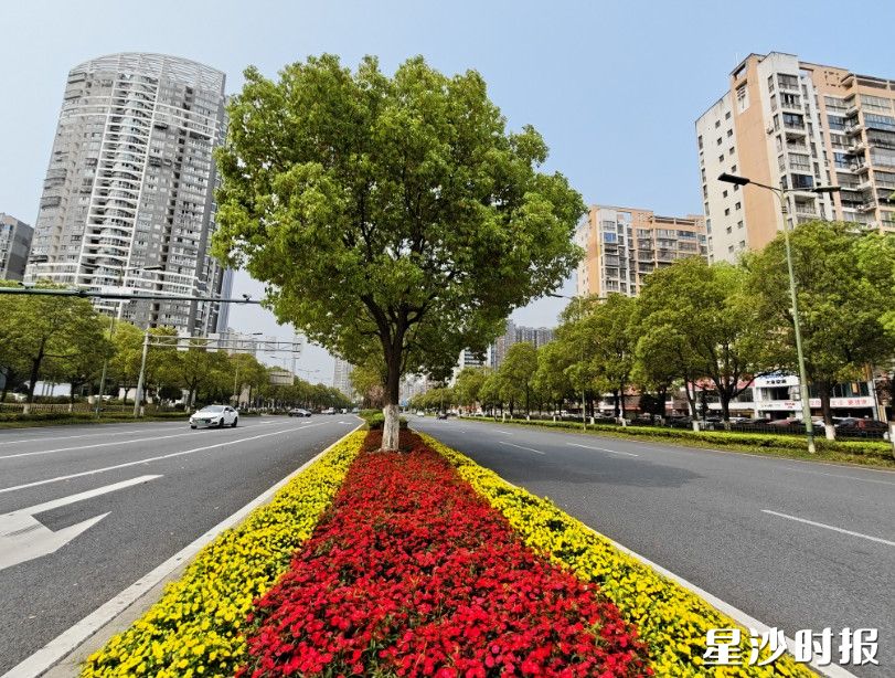 星沙大道全新布置的花坛层次丰 富、色彩 明快，明黄与艳红两大主色调顺着道路弧线自然铺展，令人赏心悦目。李杰 摄