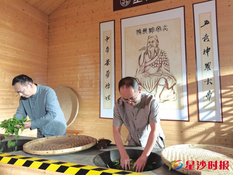 　　全国劳动模范、茶厂总经理周宇（右）正与老茶师一同进行茶叶杀青。金井镇供图