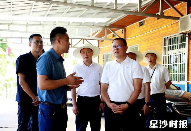 视察组在大家赢农业科技发展有限公司基地了解产业经营情况。