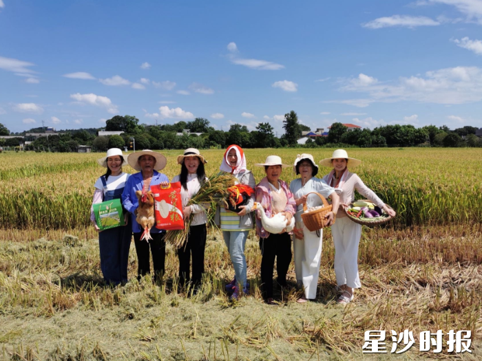 崩坎村早稻丰收场景。黄花镇供图