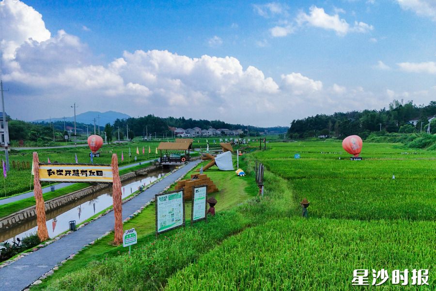 开慧镇开慧村“我在开慧有丘田”打卡点。