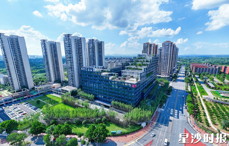 长龙街道中南大学科技园人工智能产业基地。章帝 摄