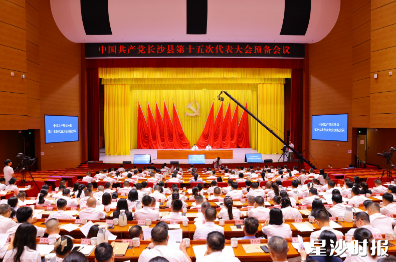 会议现场。曾诗怡 摄