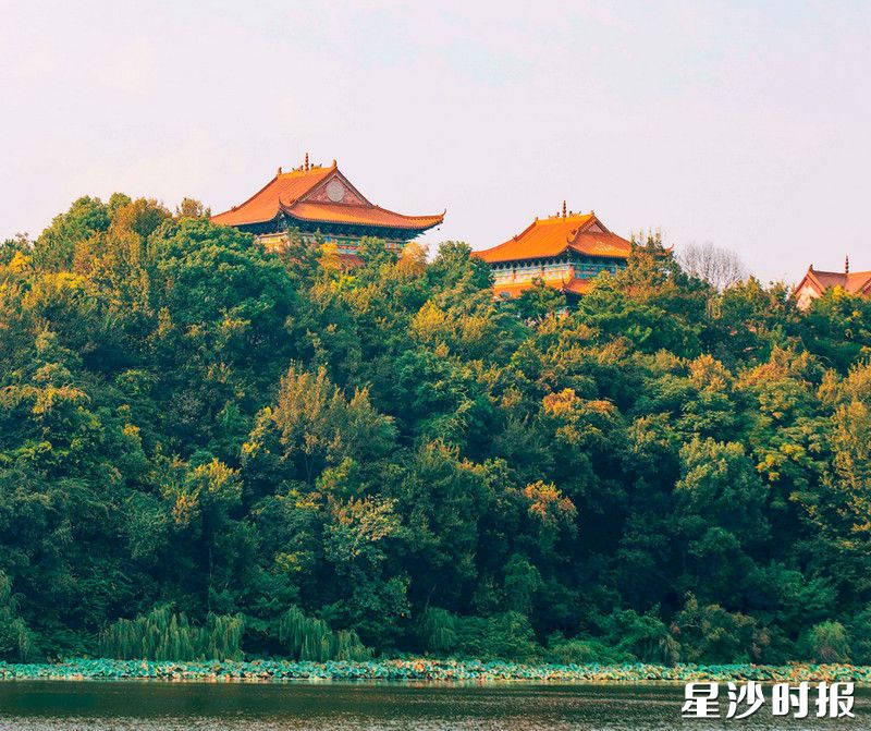 天玺阁在印山旅游度假区内,集休闲度假、湖景住宿、餐饮会议于一体。